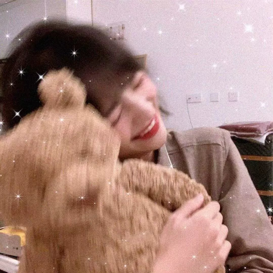 纸房子:全球热潮