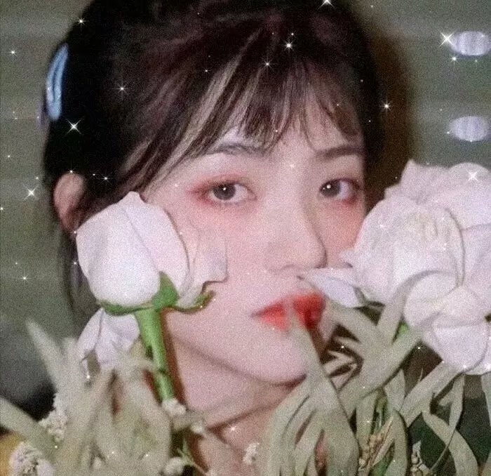 春风十里，不如你